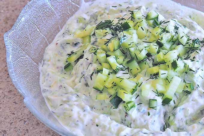 Make the Best Cool and Creamy Tzatziki Sauce and Dip | Foodal.com