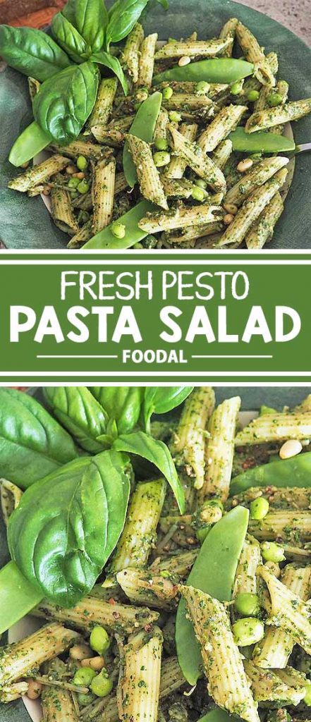 Essential summer fare for picnics, backyard entertaining, or simply as a refreshing lunch, this pesto pasta salad delivers the taste of sunny goodness. Infused with the incomparable flavors of homemade pesto, fresh green peas, leafy spinach, and Parmesan cheese, it’s rich in nutrients, too! We’ve got all the delicious details right here on Foodal. 