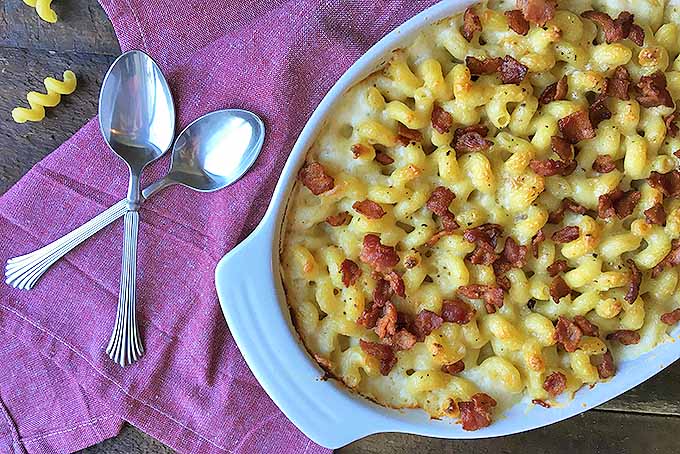 The Cheesiest Macaroni and Cheese with Crispy Bacon | Foodal.com