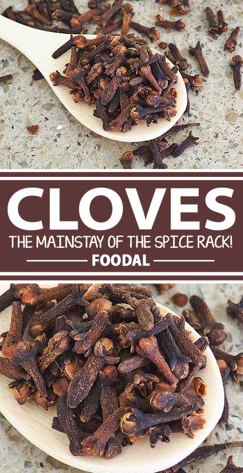 One of the staples in every spice rack, cloves add bright, warm flavors to numerous dishes. At home in sweet and savory recipes, their distinctive flavor adds a zip of spicy warmth in everything from baked goods to pickles to roast pork - and they’re an antioxidant superstar! Join us on Foodal for all the information you need on how to use this enticing spice more often! 