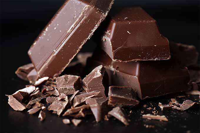 Betcha didn't know dark chocolate is good for your eyesight — learn more now at Foodal | Foodal.com