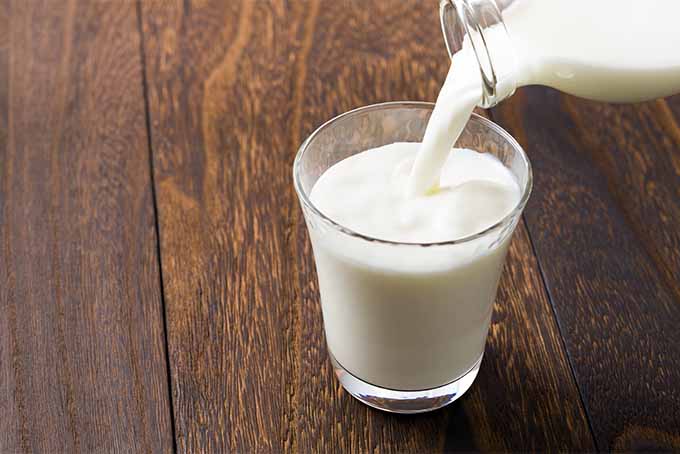Experts say to drink milk to encourage healthy eyesight | Foodal.com