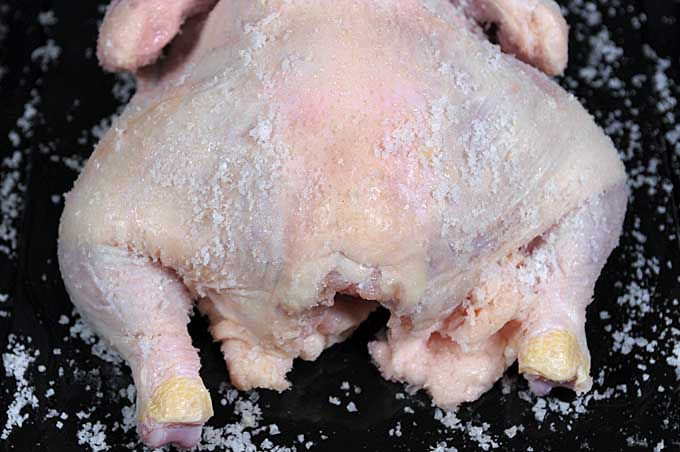 Close up of a whole chicken carcass that has been covered in sea salt | Foodal