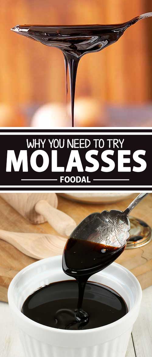 Heres Why You Really Need To Try Molasses In Your Cooking Foodal 