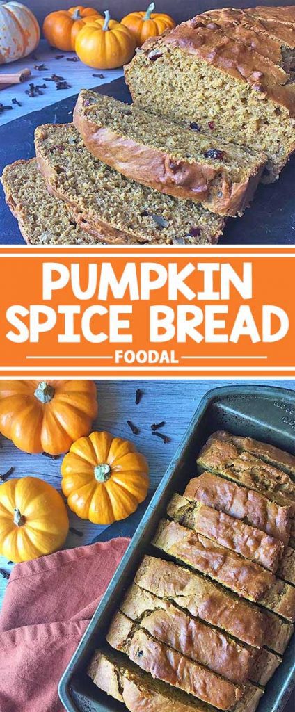 Our simple recipe for homemade pumpkin spice nut bread is made with a beautiful blend of spices, pumpkin puree, and other ingredients you have in your kitchen. We make it super easy for you to mix, bake, and enjoy! Celebrate the fall season now with a thick slice of this sweet and spicy goodie, and get the recipe on Foodal!