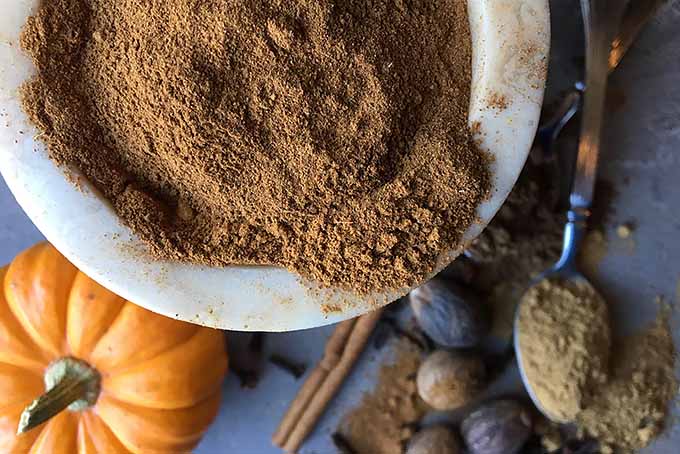 Pumpkin Spice and Everything Nice | Foodal.com