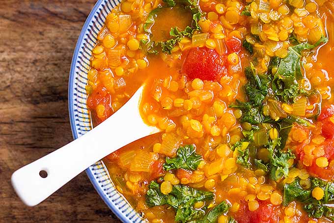 A spoon is inserted into the tumeric and kale red lentil soup. Close up shot.