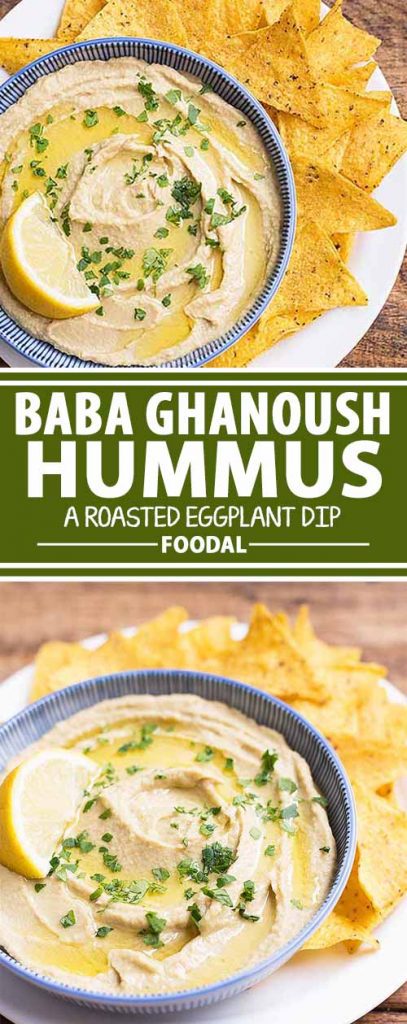 Need a new dip to serve? Get ready to dunk all of those carrot sticks, celery slices, and pita pieces into something a little different. Try our healthy hummus inspired by baba ghanoush! We combine all the classic flavors of hummus you love with perfectly roasted eggplant and garlic. Get the recipe now on Foodal.