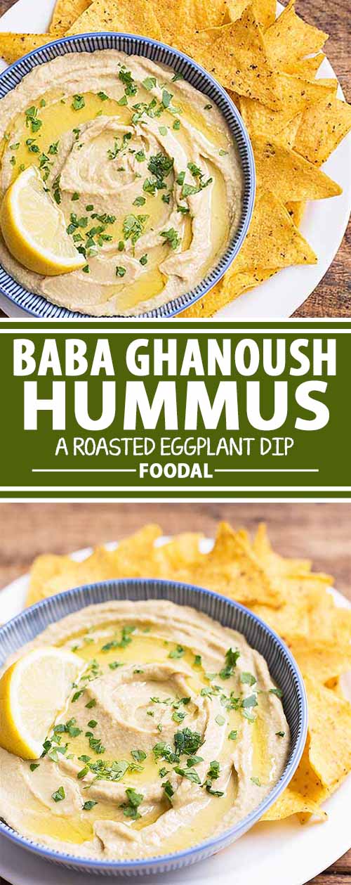Need a new dip to serve? Get ready to dunk all of those carrot sticks, celery slices, and pita pieces into something a little different. Try our healthy hummus inspired by baba ghanoush! We combine all the classic flavors of hummus you love with perfectly roasted eggplant and garlic. Get the recipe now on Foodal.