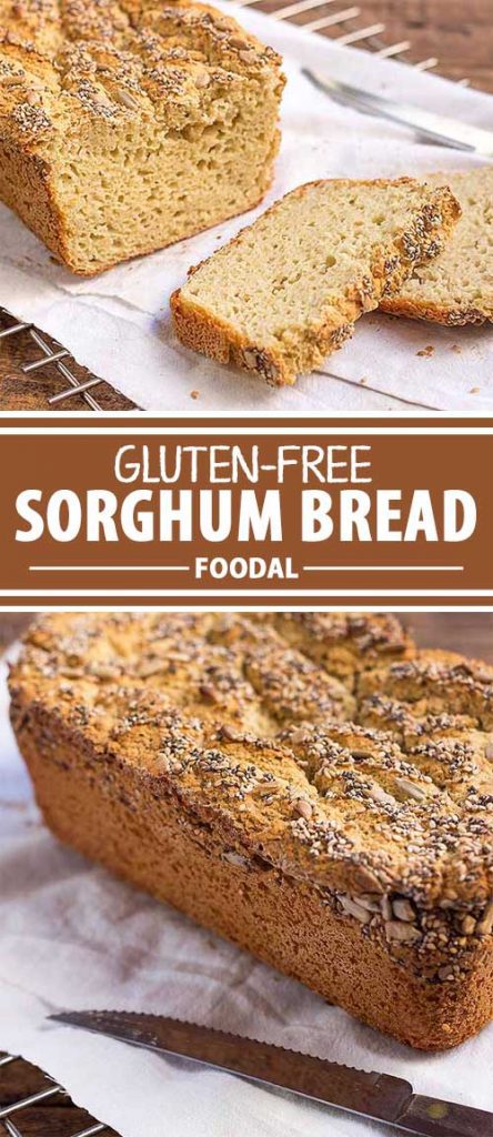 If you follow a gluten-free diet, you can still enjoy delicious baked goods, like our homemade sorghum bread. Made with ground sorghum grains and topped with a fun and crunchy mixture of your favorite seeds, this fluffy bread is perfect for anything. From sandwiches to snacking, you'll want to have this bread as part of your daily feasting! Learn how to make our easy recipe now on Foodal.