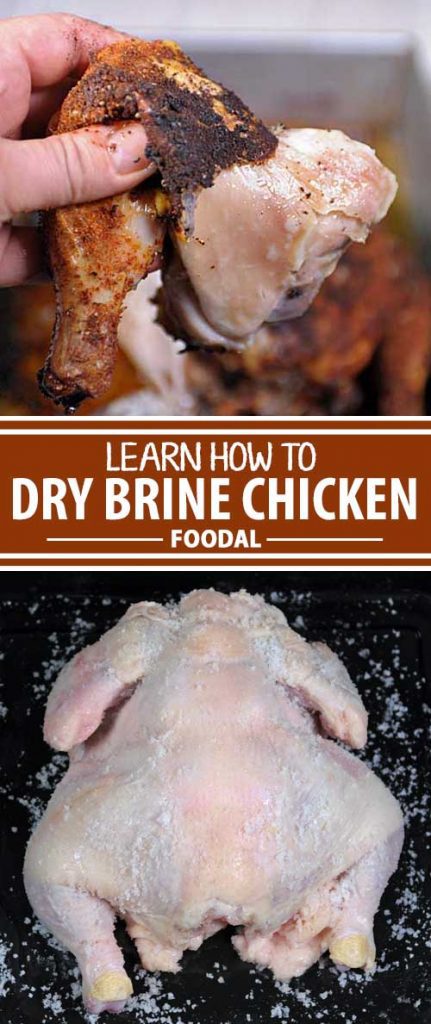 Are ready for the meatiest, juiciest, bird meat that you've ever had? Looking for that perfect crispy skin? Are your poultry dishes coming out too dry? We have the answer. Try dry brining. It's easy, simple, and guaranteed to lock in flavor and juices where they need to be. Read more now.