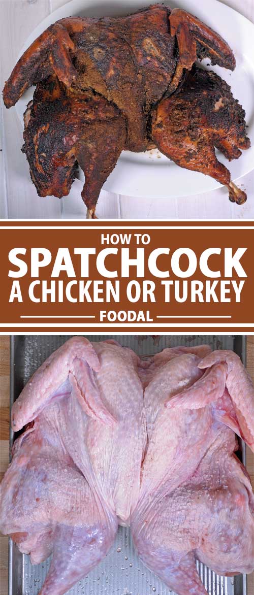 How To Spatchcock A Chicken Or A Turkey Foodal