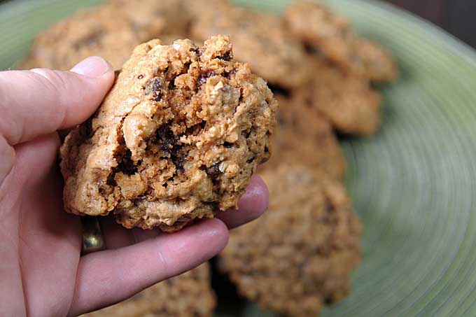 A human hand holding a broken open oatmeal chocolate chip cookie to show off the insides | Foodal