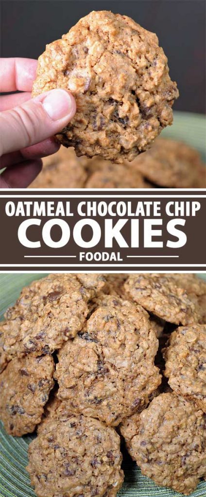 Looking for mouthwatering oatmeal chocolate chip cookies? Try this old fashioned recipe that includes optional walnuts and raisins. Crunchy, sweet, golden. Get the recipe now on Foodal.