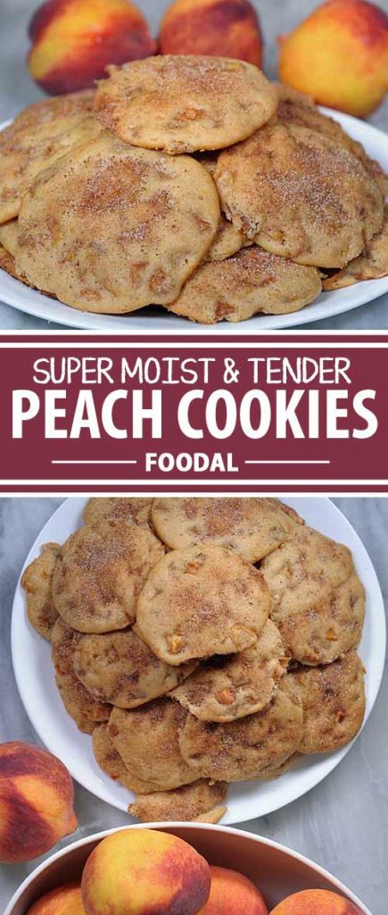 Do you love pastries but love the storage and portability of cookies? If so, this peach version will definitely do the trick. The fruit makes this one something special – part pastry and part cookie, this dessert is to die for. Get the recipe now on Foodal!