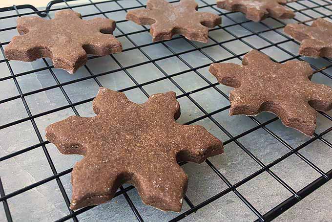 Perfect Chocolate Cut-Out Cookies | Foodal.com