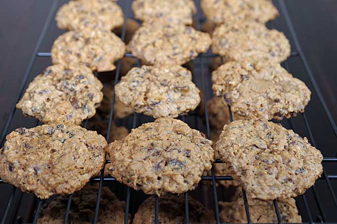 Close up with diffused focus of oatmeal chocolate chip cookies on a black wire cooling rack | Foodal