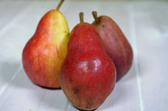 Red Pears | Foodal.com