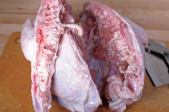 A turkey carcass in the process of being splatcocked | Foodal