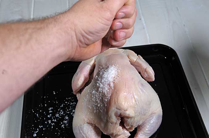A human hand sprinkles coarse salt on a whole chicken | Foodal