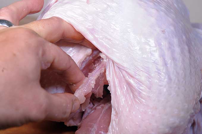 Cut along each side of the wishbone to dislodge it from the poultry carcass | Foodal