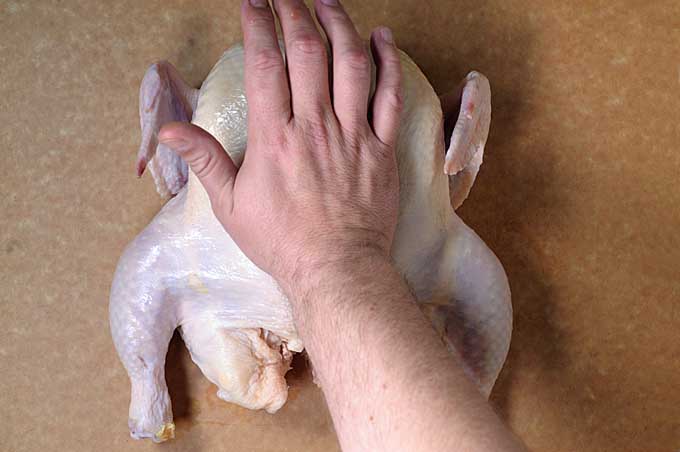 A human hand presses down on the breast of a chicken carcass to finish cracking ribs | Foodal