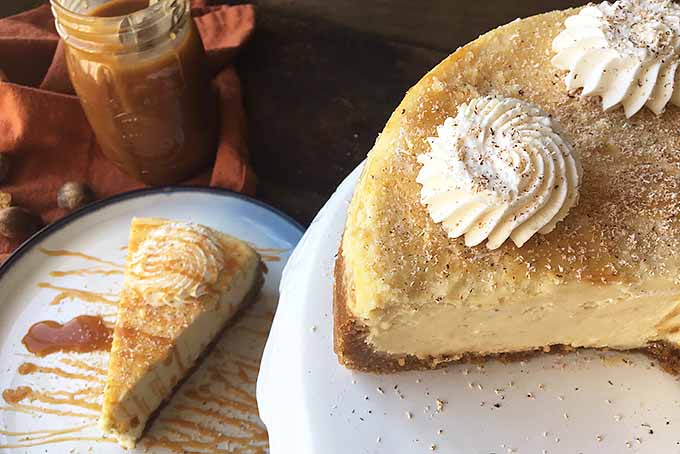The Best Eggnog Cheesecake | Foodal.com