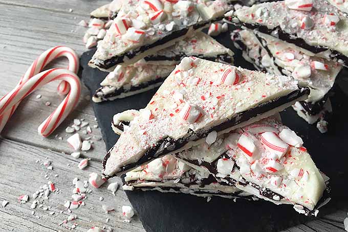 Close up of homemade chocolate candy cane peppermint bark candy piled on a gray, rustic wooden surface.