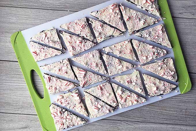 A sheet of completed homemade candy cane peppermint bark is cut into small triangles for consumption.
