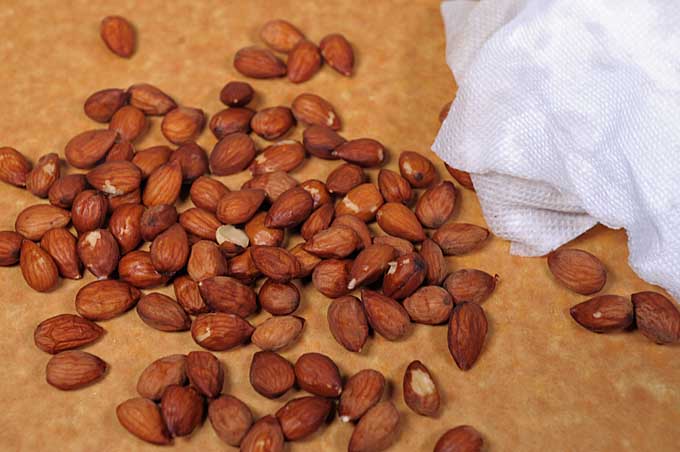 Almonds on a cutting board being dried with a paper towel | Foodal