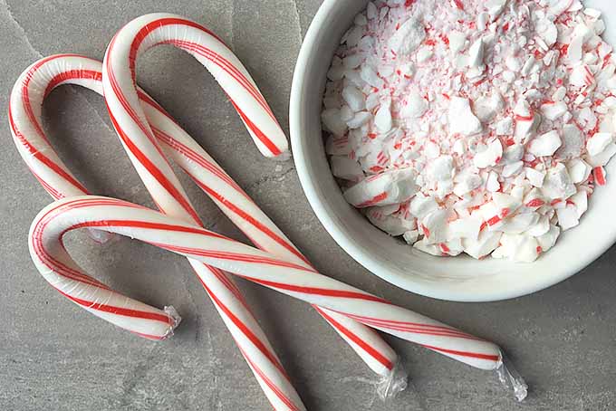 Bright Cheer with Winter Candy | Foodal.com