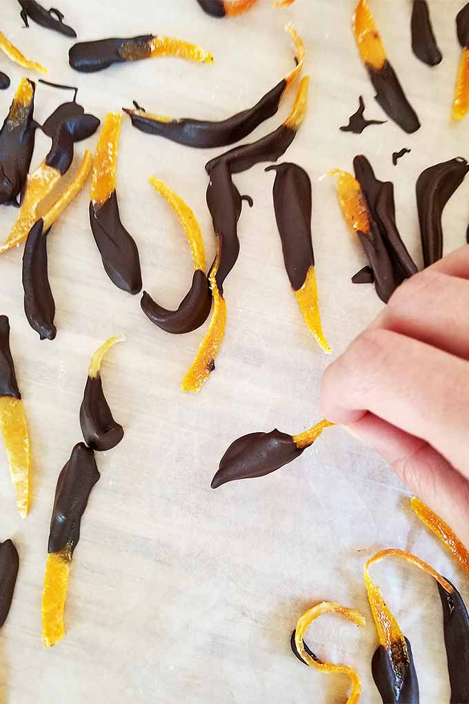 Make your own chocolate-dipped candied citrus peel at home with our recipe: https://foodal.com/recipes/candy/candied-citrus-peel/
