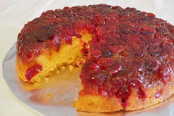 Golden interior of a cranberry-topped holiday cake. | Foodal.com