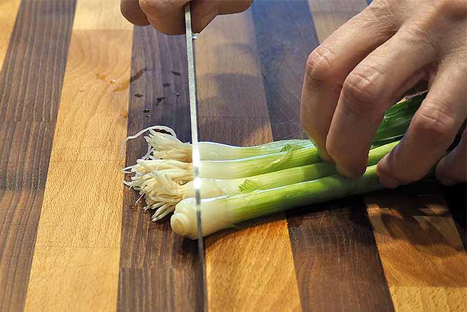 How to Pick, Prep, and Store Scallions | Foodal.com