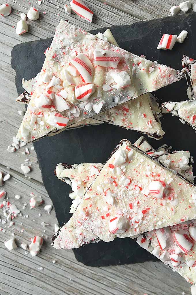 Close up top view of a batch of homemade peppermint bark candy made with alternating layers of white and dark chocolate with a topping of crushed peppermints from candy canes.