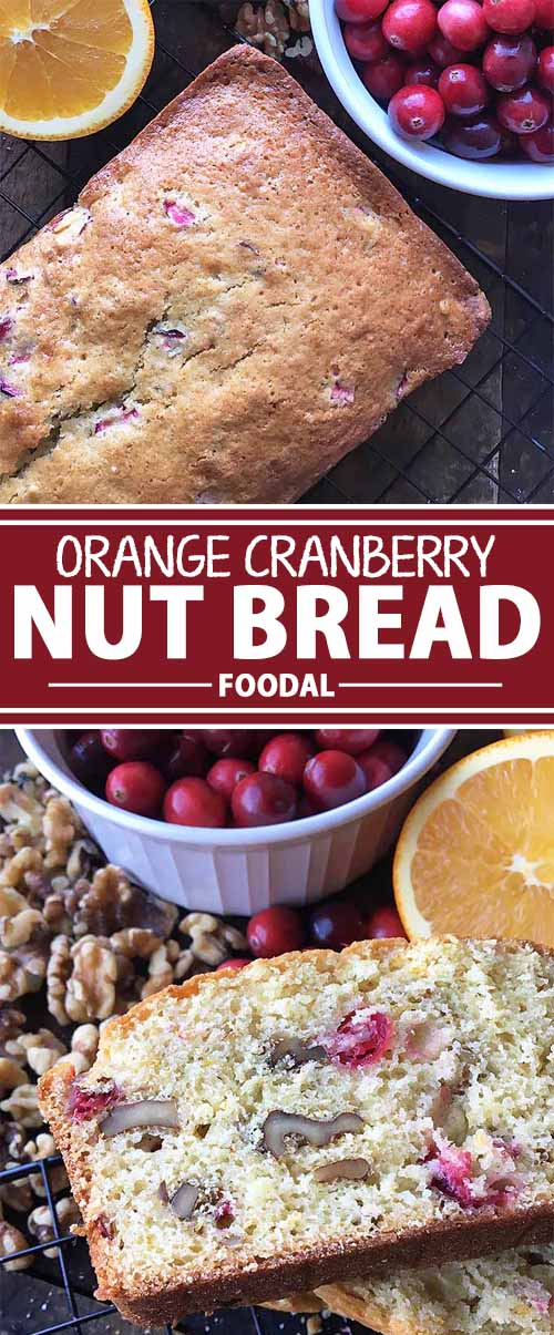 Sweet and Tart Orange Cranberry Nut Bread | Foodal