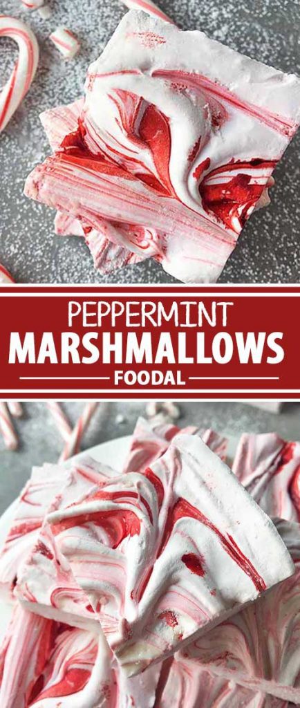 These peppermint-flavored marshmallows are perfect for the holidays, or for lifting your spirits in the cold, dark days of the winter following Christmas celebrations. Eat them on their own, or use them to perk up ordinary hot chocolate, in s'mores, and many other recipes. Make them now on Foodal!