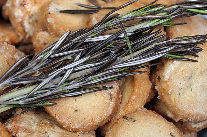 Close up of fresh rosemary leaves on top of a pile of butter cookies | Foodal