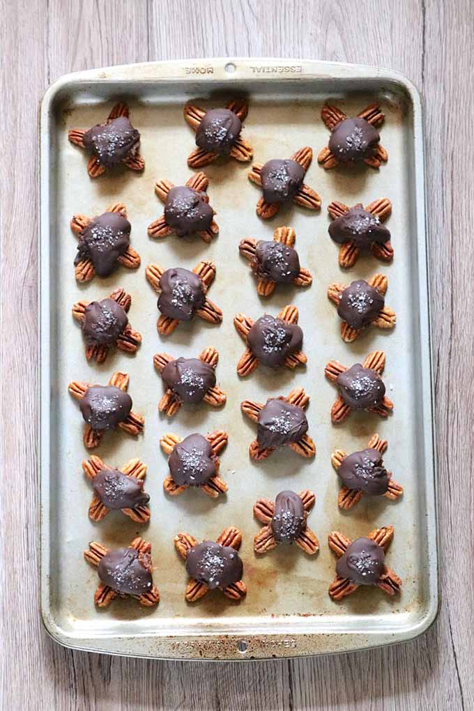 Chocolate and nut turtle candies, arranged on a baking sheet.