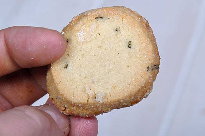 An individual sugar cookie being held by human fingers | Foodal