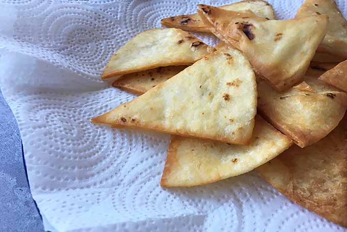 Allowing Freshly Fried Tortilla Chips to Drain on a Paper Towel | Foodal.com