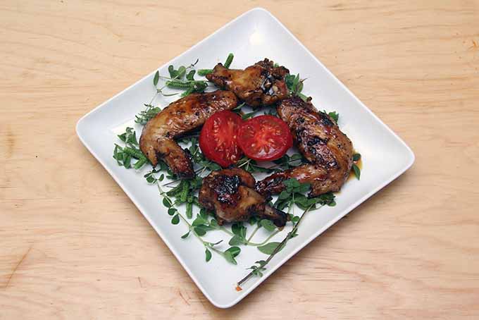 Sorghum Glazed Chicken Wings | Foodal.com