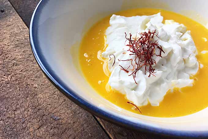Yogurt, egg yolks, and saffron in a bowl | Foodal.com