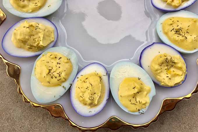 Closeup top-down view of seven blue and purple-dyed pickled deviled eggs, arranged in a circle around the perimeter of a scalloped white plate with gold edging.