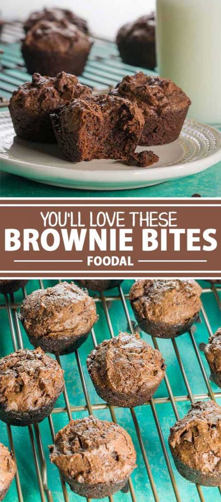A collage of photos showing different views of a brownie bites recipe.