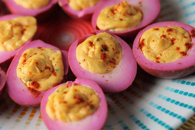 Closeup of eight pink pickled deviled eggs, with whites that have been dyed pink by beet juice, and yellow centers topped with paprika, on a blue and white radially striped plate.