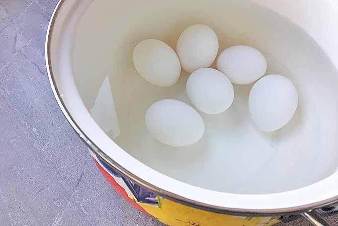 Horizontal image of boiling eggs in a pot on a gray surface