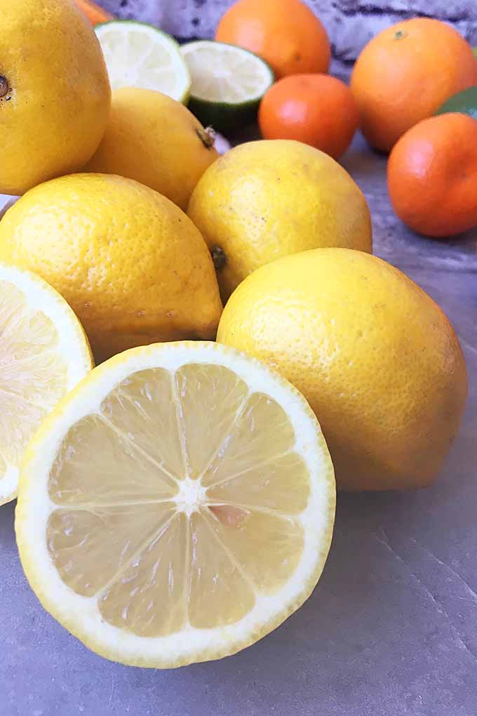 Cut lemons with oranges in the background.