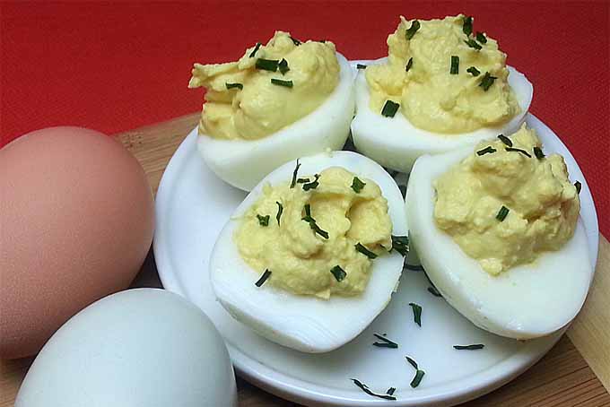 Four deviled eggs topped with herbs on a small, round, white plate, beside one white and one brown egg on a wooden surface with a red background.