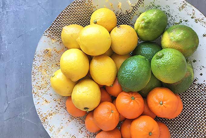 A beautiful bowl of assorted lemons, limes, and oranges.